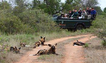 Motswari Private Game Reserve - Timbavati Klaserie Private Nature Reserve Exterior foto