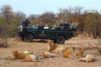 Motswari Private Game Reserve - Timbavati Klaserie Private Nature Reserve Exterior foto