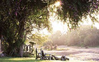 Motswari Private Game Reserve - Timbavati Klaserie Private Nature Reserve Exterior foto