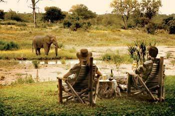 Motswari Private Game Reserve - Timbavati Klaserie Private Nature Reserve Exterior foto